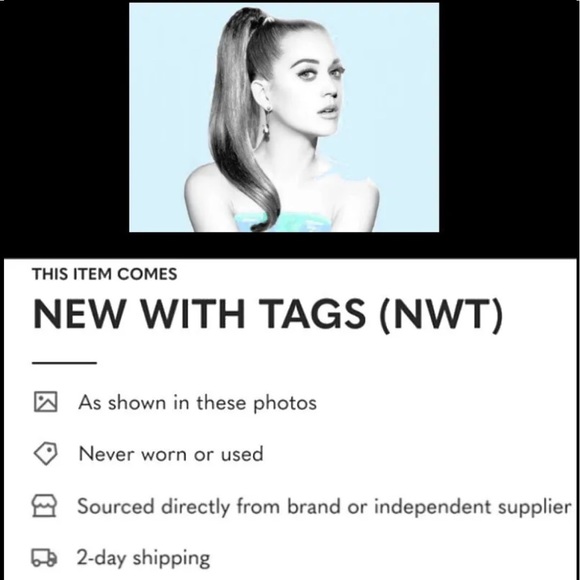 $495 Jimmy Choo Cat Eye Sunglasses Frame Silver + Mauve Lens Pink + Acc NWT - Picture 15 of 15